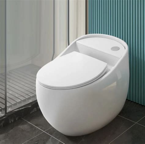 Modern Classy water closet / Megawell toilet / Cute modern toilet .